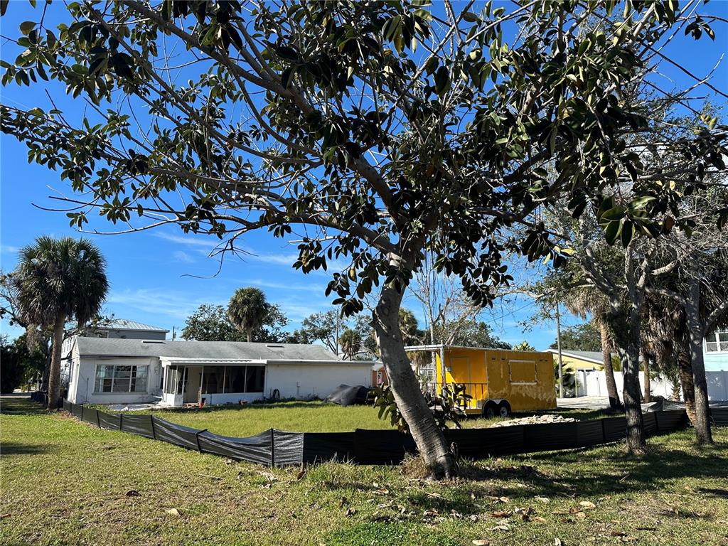 1811 2nd Street Indian Rocks Beach, FL 33785 - Photo 6 of 12 a view of a house with a large tree
