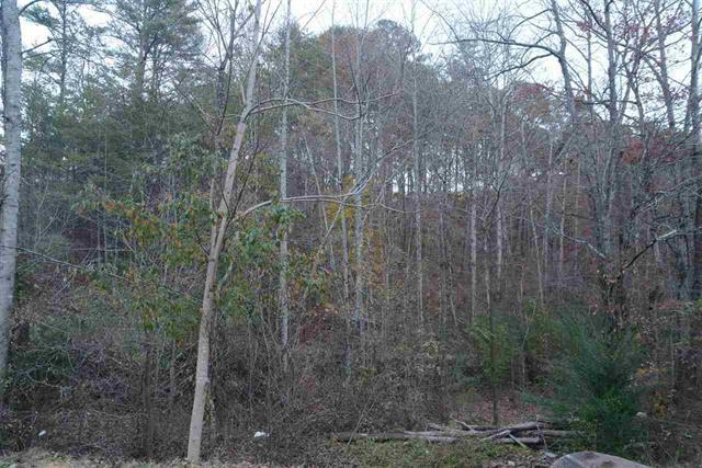 759 Montgomery Road Dayton, TN 37321 - Photo 4 of 7 RCAR20136053D