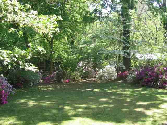 205 West Walnut Street Clinton, SC 29325 - Photo 13 of 13