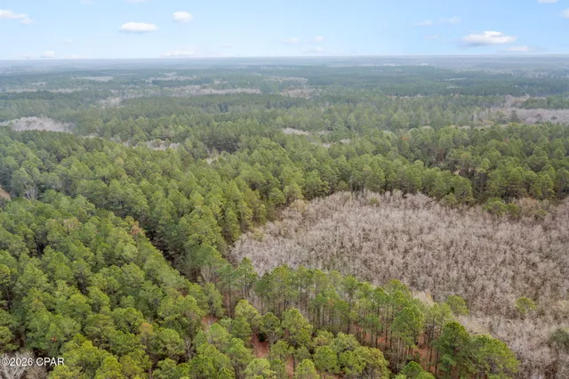 $52,300 | Xxx Hawthorne Trail, Bonifay, FL 32425