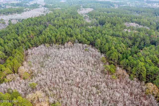 $52,300 | Xxx Hawthorne Trail, Bonifay, FL 32425