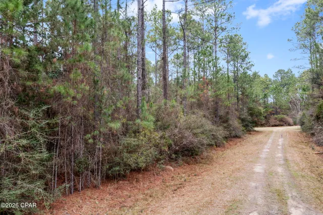 $52,300 | Xxx Hawthorne Trail, Bonifay, FL 32425