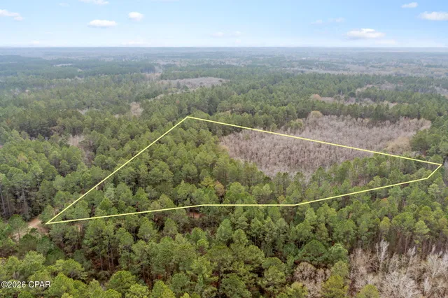 $52,300 | Xxx Hawthorne Trail, Bonifay, FL 32425