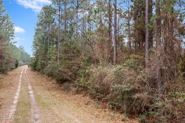 $52,300 | Xxx Hawthorne Trail, Bonifay, FL 32425