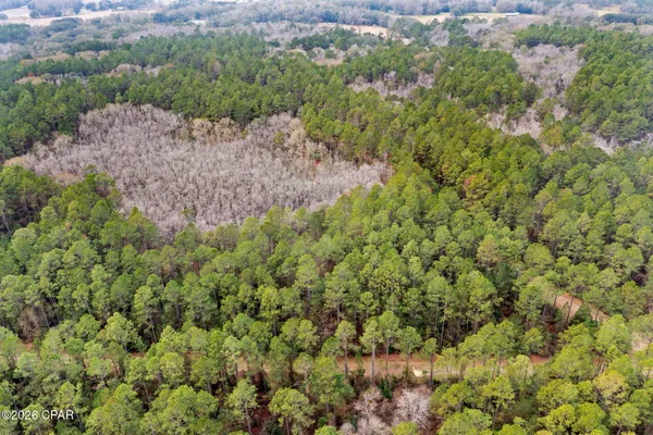$52,300 | Xxx Hawthorne Trail, Bonifay, FL 32425