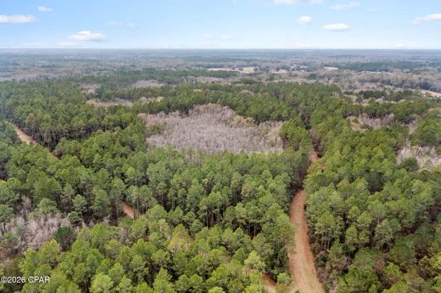 $52,300 | Xxx Hawthorne Trail, Bonifay, FL 32425