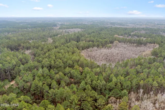 $52,300 | Xxx Hawthorne Trail, Bonifay, FL 32425