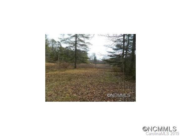 0 Forest Lake Road Brevard, NC 28712 - Photo 3 of 4 Gallery Image 3
