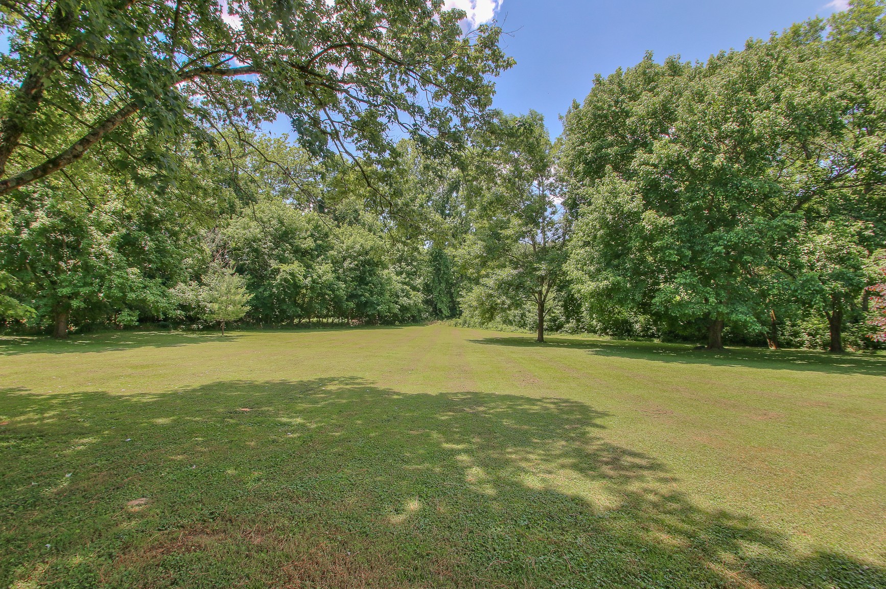 183 Lancaster Drive Franklin, TN 37064 - Photo 44 of 50 a view of a field with an trees