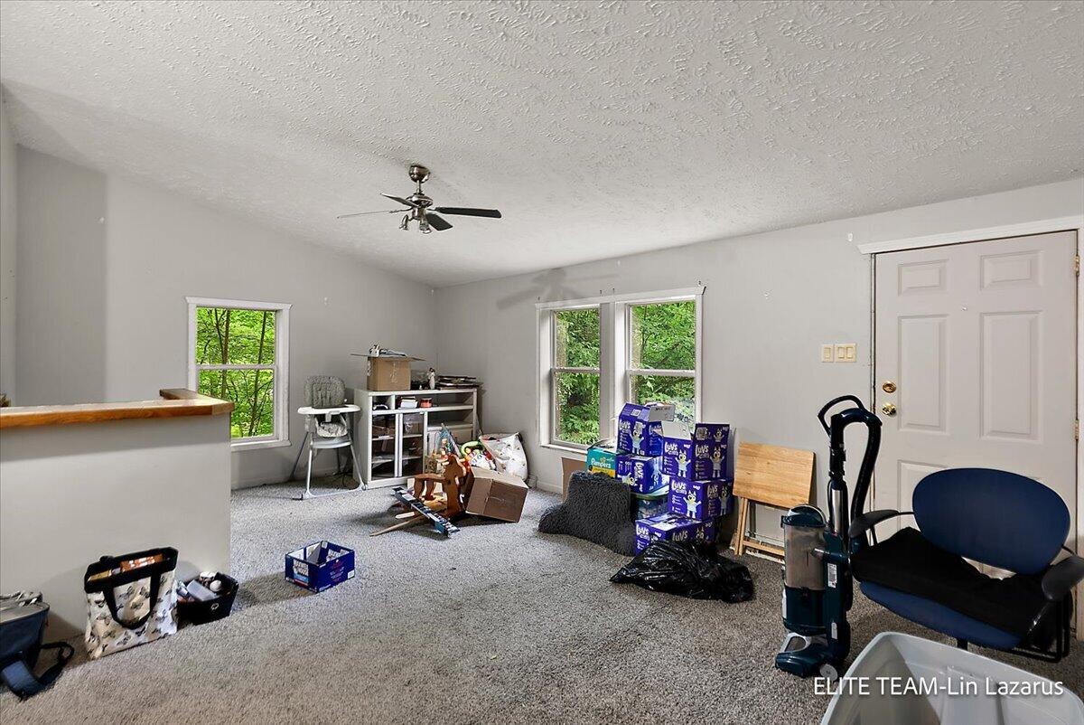 6718 Schmeid Road Lakeview, MI 48850 - Photo 10 of 58