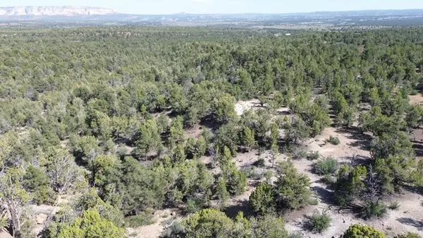 $75,000 | 51 Highway 9 East Zion 40 Acres Orderville Ut 84758, Orderville, UT 84758