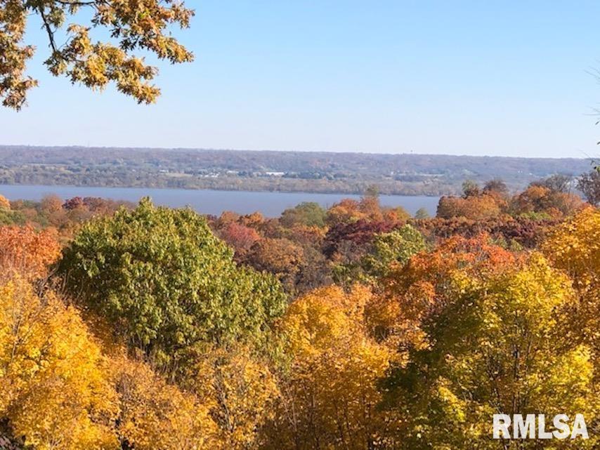 9318 North Picture Ridge Road Peoria, IL 61615 - Photo 53 of 56 Gallery Image 53