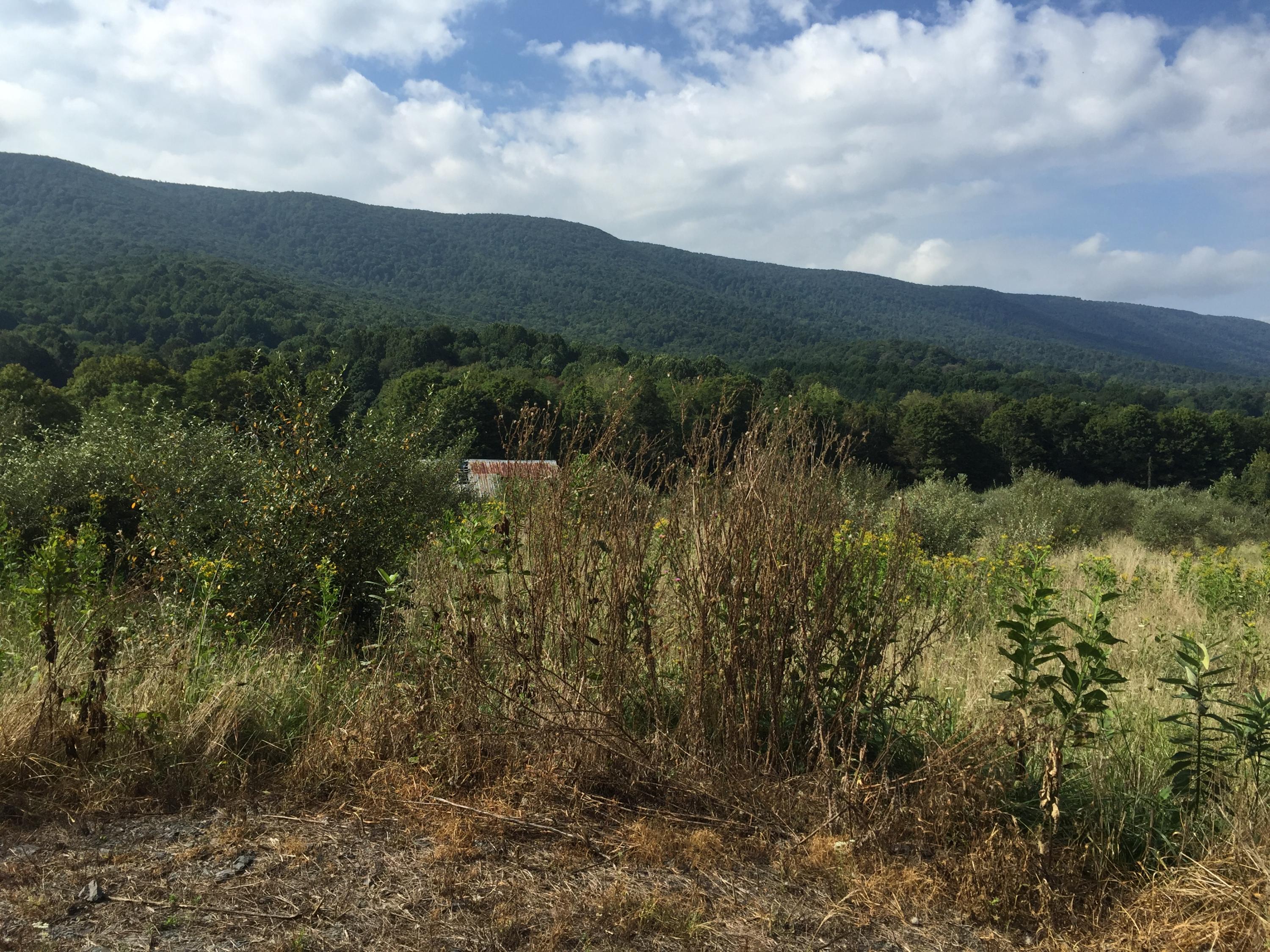 Zenith Road Fincastle, VA 24090 - Photo 2 of 20 Gallery Image 2
