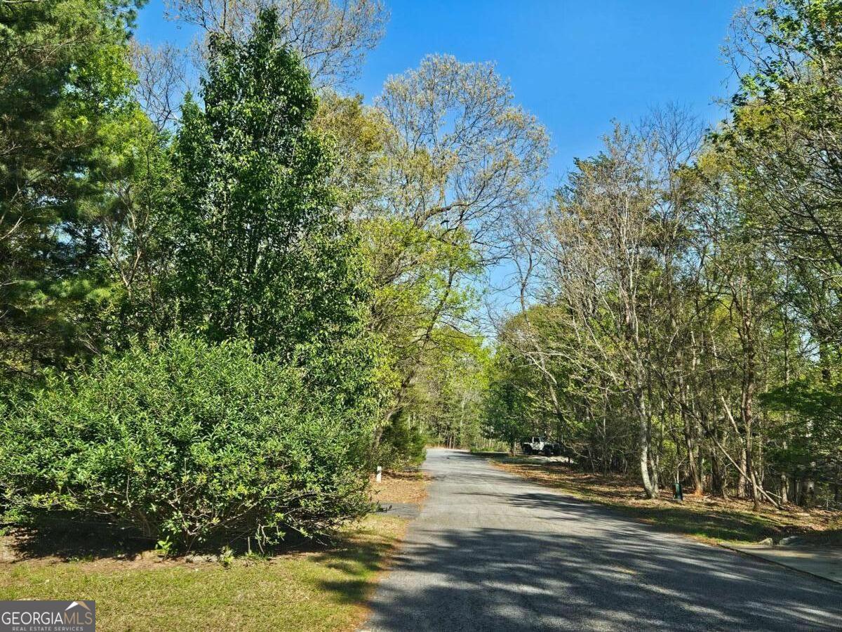 1150 Highland Road Sautee Nacoochee, GA 30571 - Photo 11 of 12