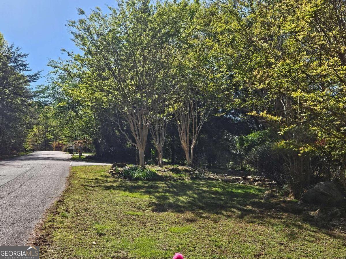 1150 Highland Road Sautee Nacoochee, GA 30571 - Photo 12 of 12