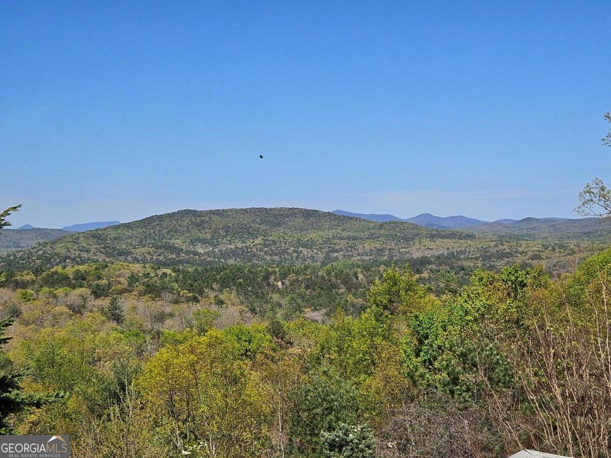 1150 Highland Road Sautee Nacoochee, GA 30571 - Photo 6 of 12