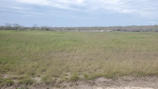 a view of an ocean beach and mountain