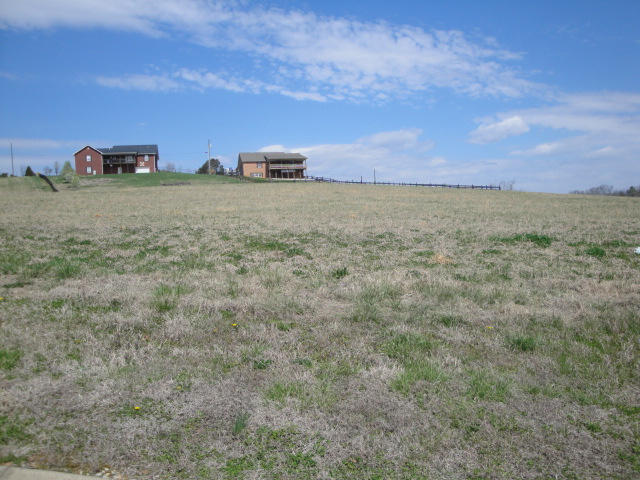 Lot 29 Chippewa Lane Rutledge, TN 37861 - Photo 3 of 3 Lot 29 (2)