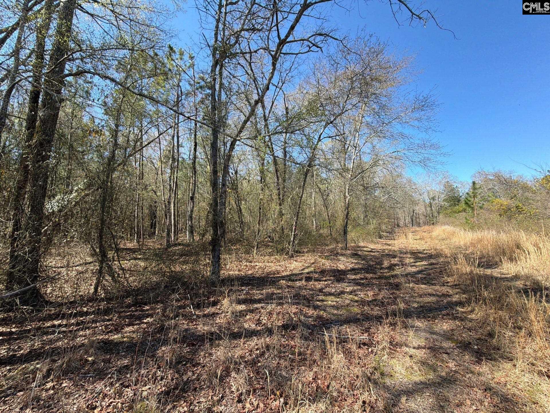 12 Boise Cascade Road, Unit BHL 12 Bethune, SC 29009 - Photo 8 of 20
