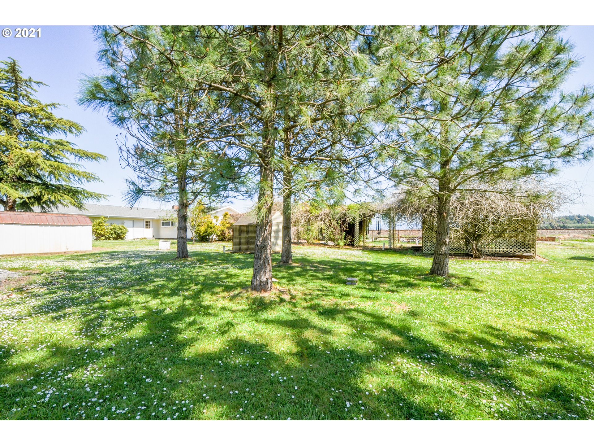 33821 Brewster Road Lebanon, OR 97355 - Photo 6 of 25 Gallery Image 6