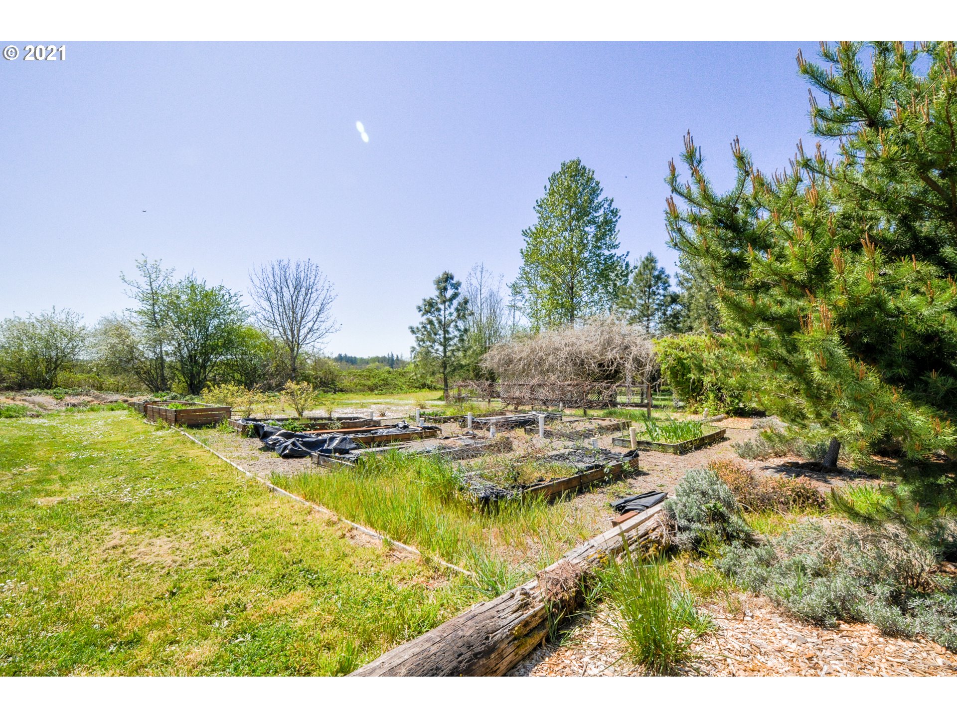 33821 Brewster Road Lebanon, OR 97355 - Photo 8 of 25 Gallery Image 8