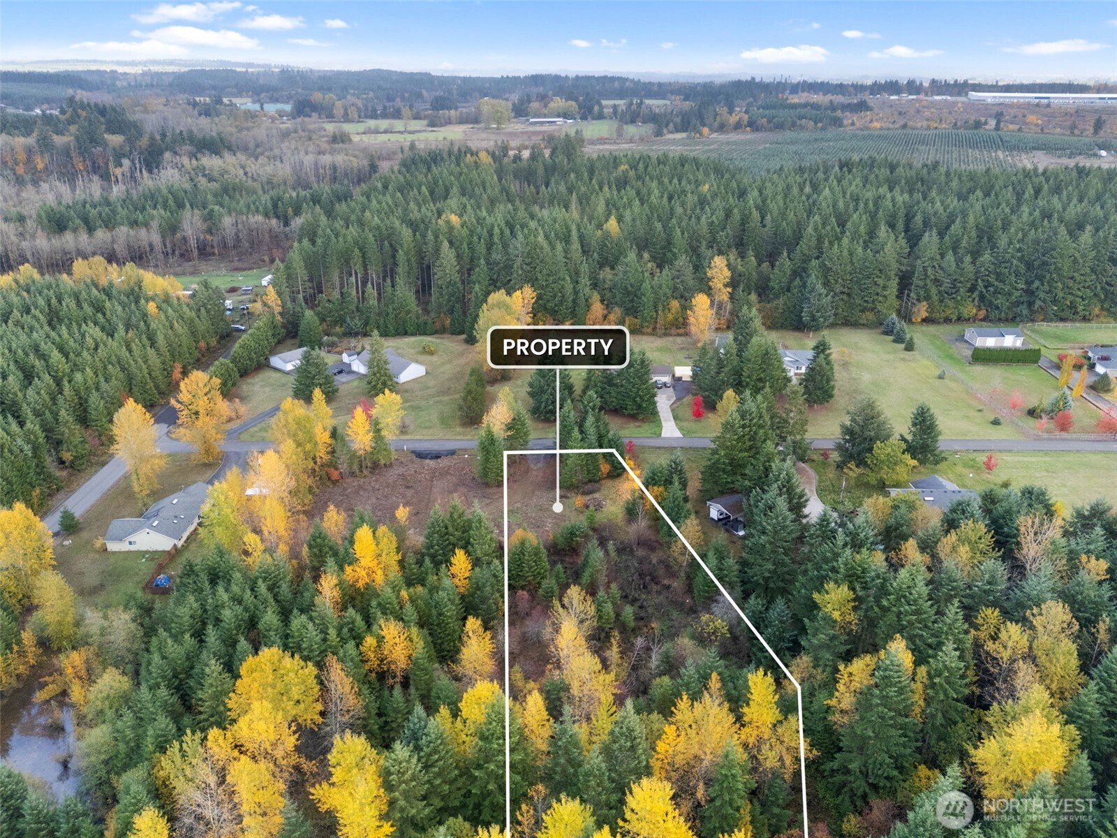 112 Timberline Lane Winlock, WA 98596 - Photo 11 of 11 a view of a lake with a mountain and a trees in the background