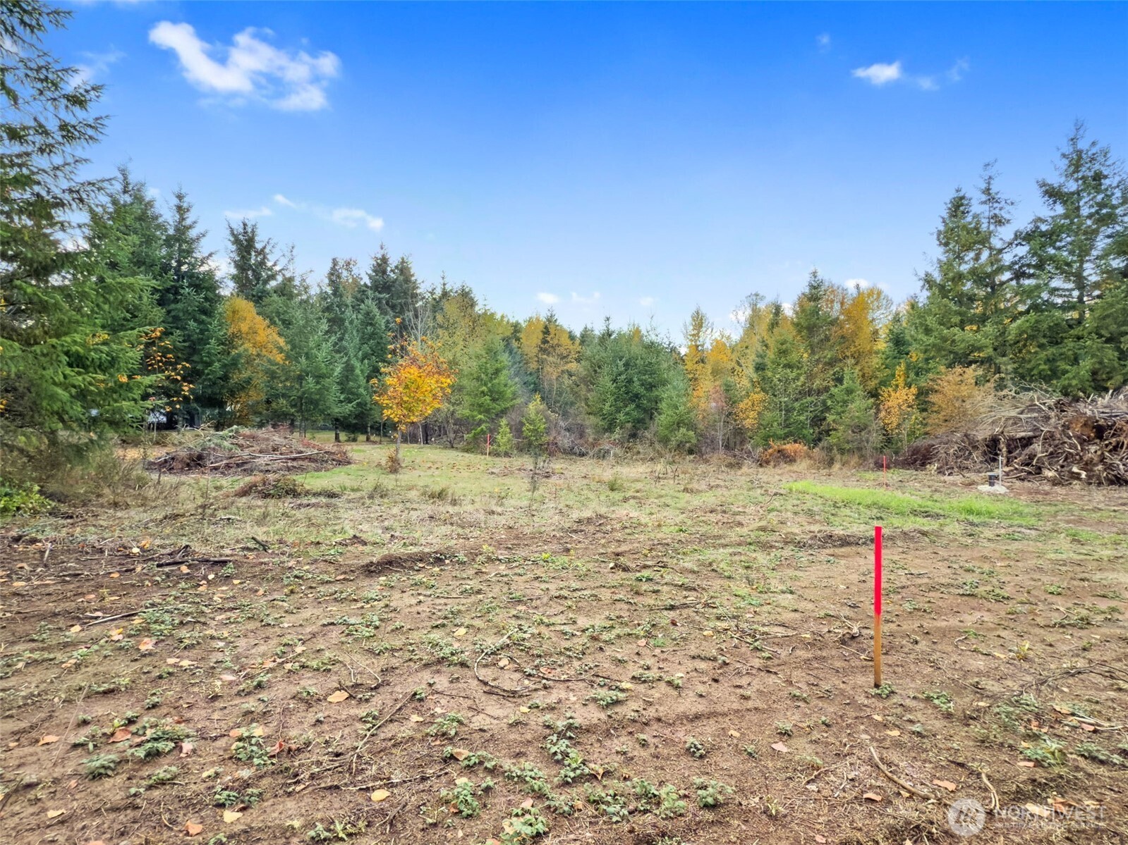 112 Timberline Lane Winlock, WA 98596 - Photo 4 of 15 a view of a field with trees in the background