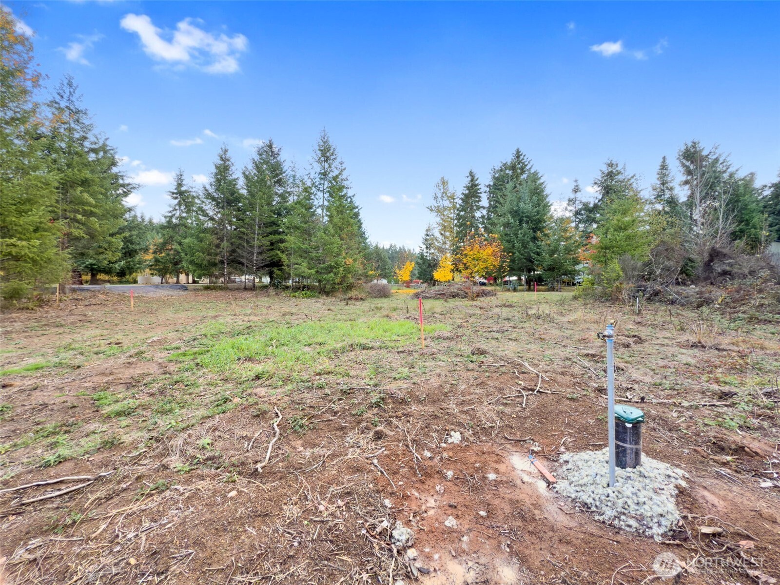 112 Timberline Lane Winlock, WA 98596 - Photo 5 of 15 a view of a yard with trees in the background