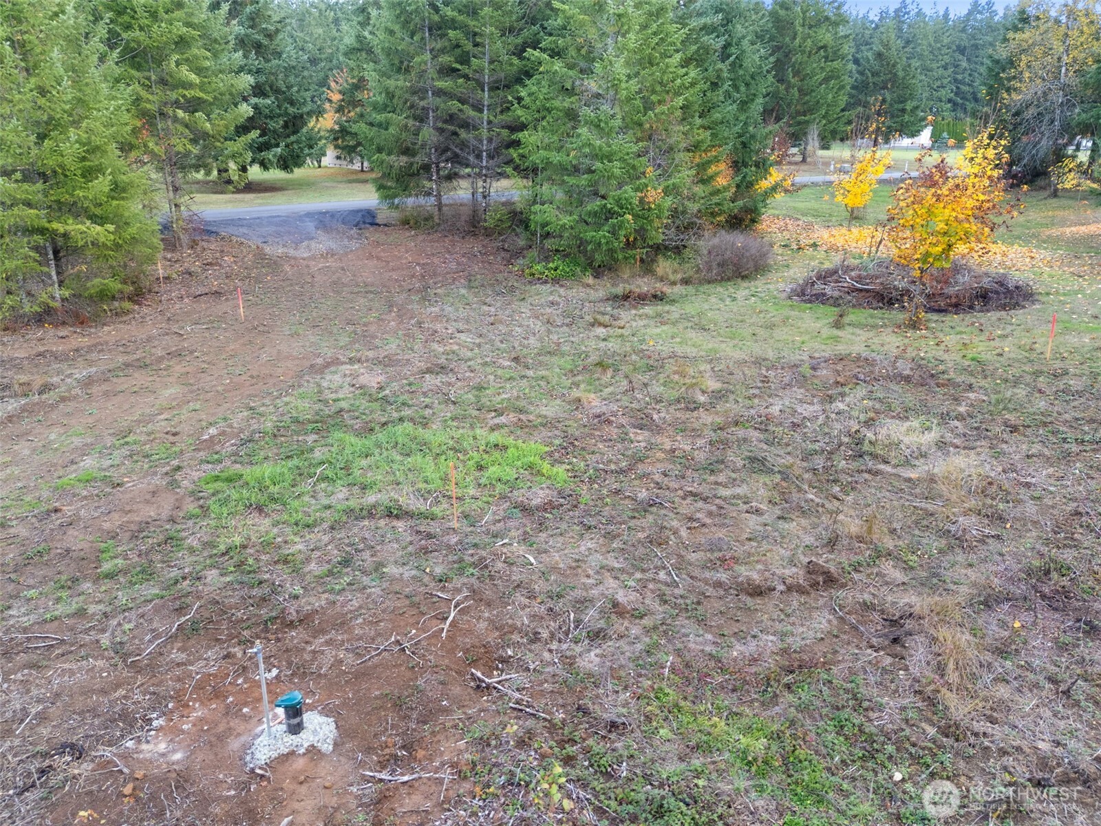 112 Timberline Lane Winlock, WA 98596 - Photo 7 of 15 a view of a yard with a tree