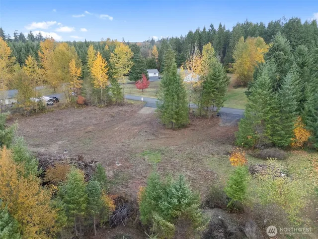 a view of a yard with trees houses and mountain view
