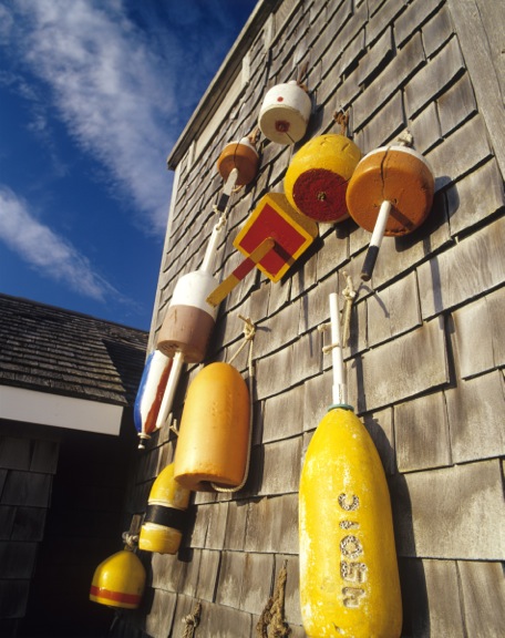 208 Middle Point Road West Tisbury, MA 02568 - Photo 4 of 11 Gallery Image 4