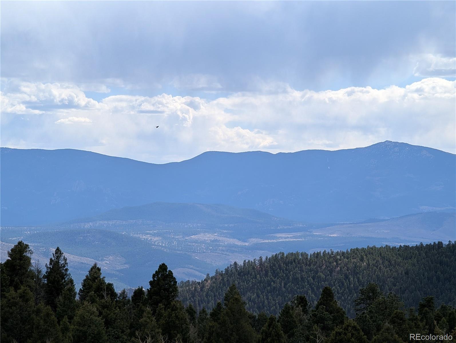 13108 Elsie Road Conifer, CO 80433 - Photo 2 of 49 Gallery Image 2