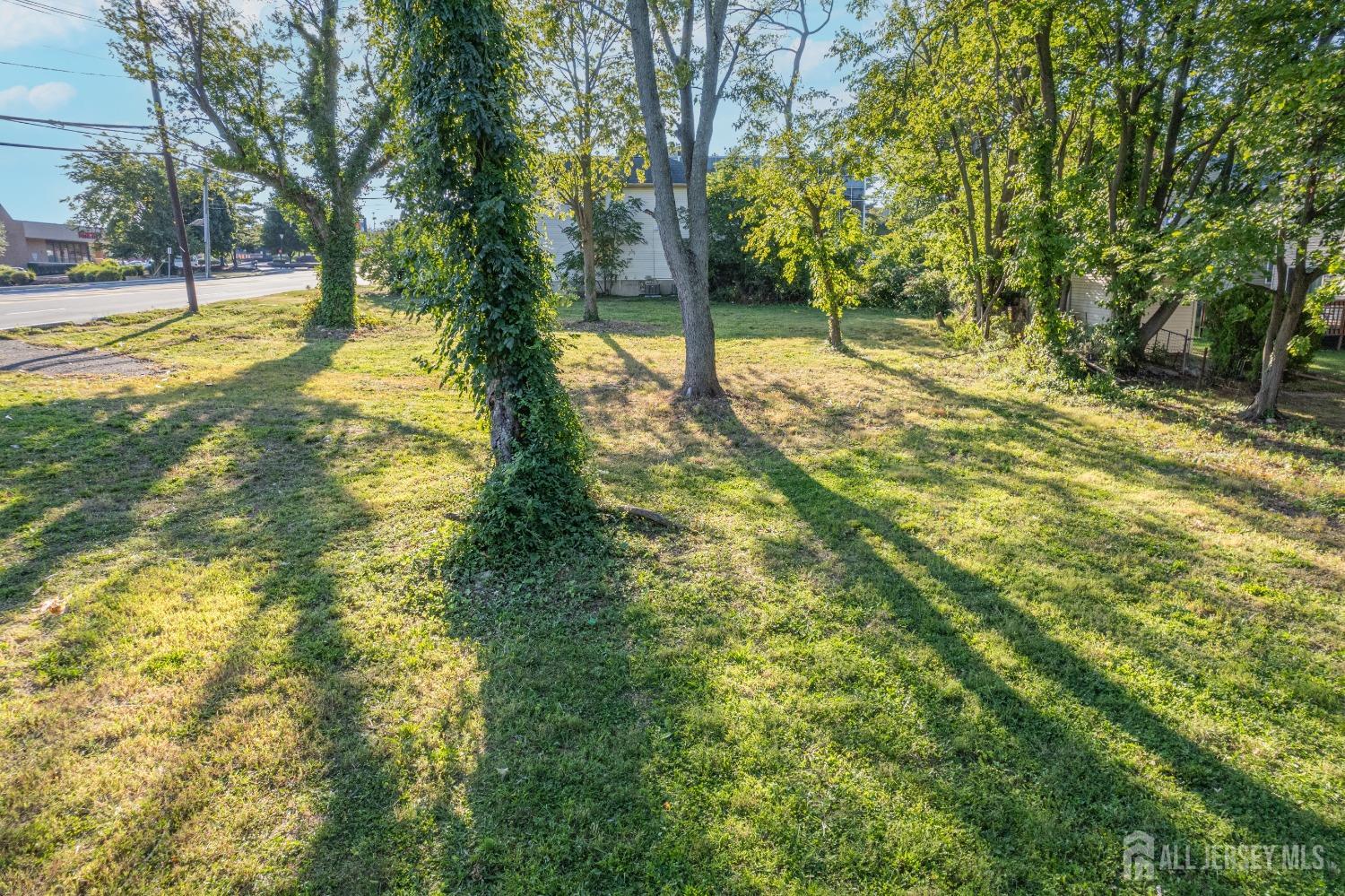 1638-1644 Oak Tree Road Edison, NJ 08820 - Photo 11 of 15 a view of yard with trees