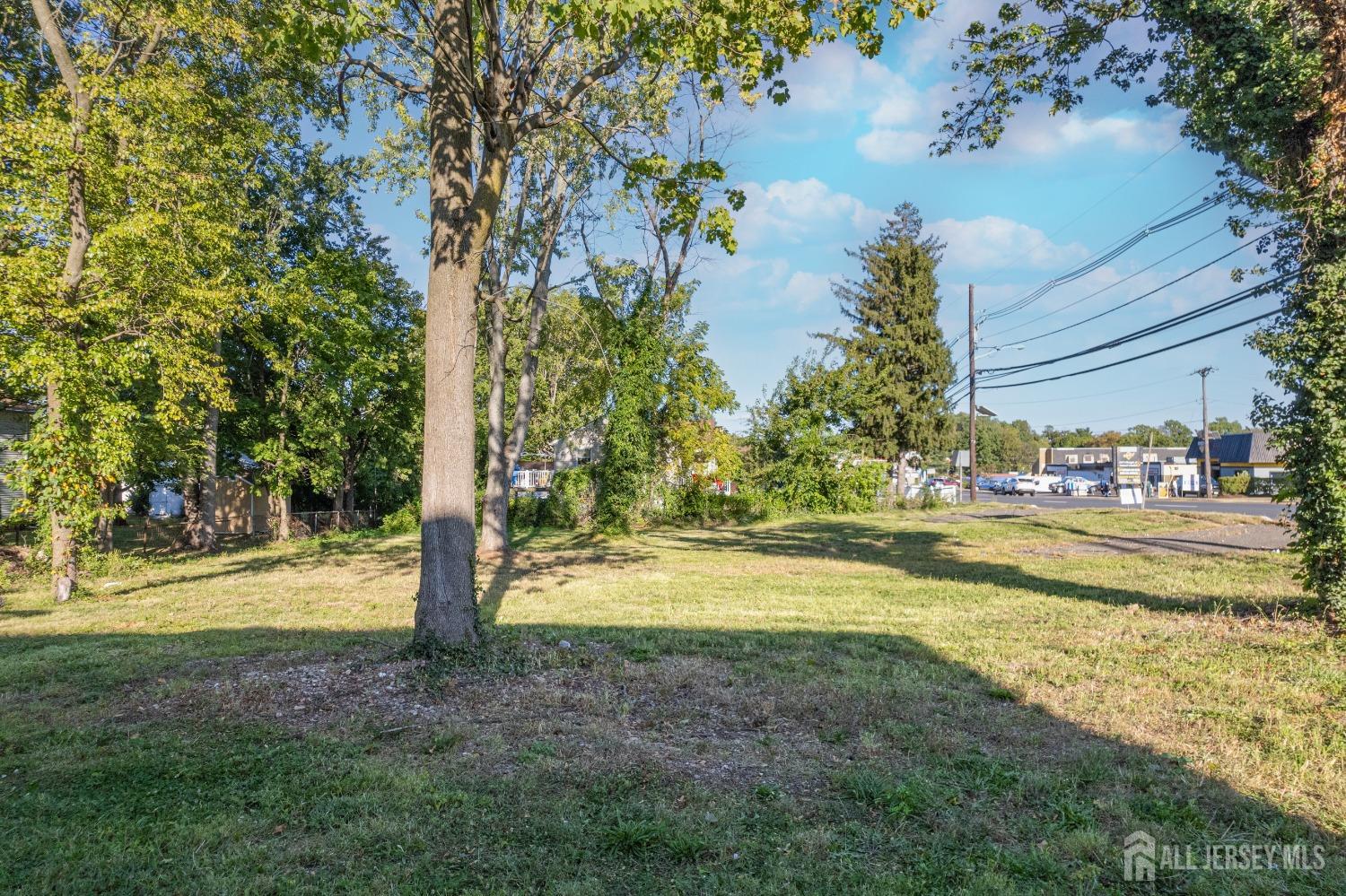 1638-1644 Oak Tree Road Edison, NJ 08820 - Photo 12 of 15 a view of a yard with swimming pool
