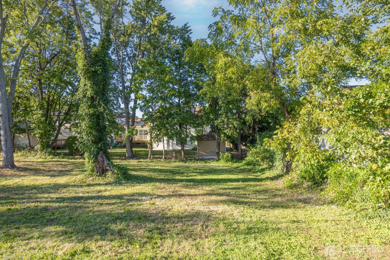 1638-1644 Oak Tree Road Edison, NJ 08820 - Photo 14 of 15 a view of a park with large trees