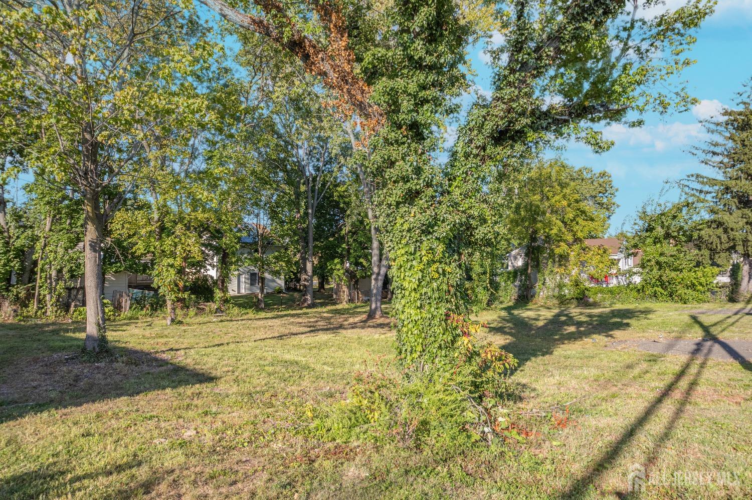 1638-1644 Oak Tree Road Edison, NJ 08820 - Photo 5 of 15 a view of a yard with plants and trees