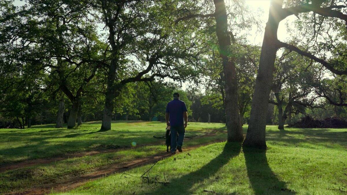 6 Old Oregon Trail Redding, CA 96003 - Photo 5 of 14 a view of a park with trees