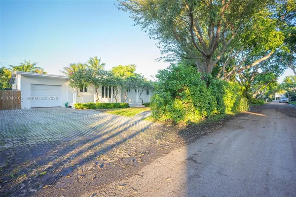 a view of a yard with plants