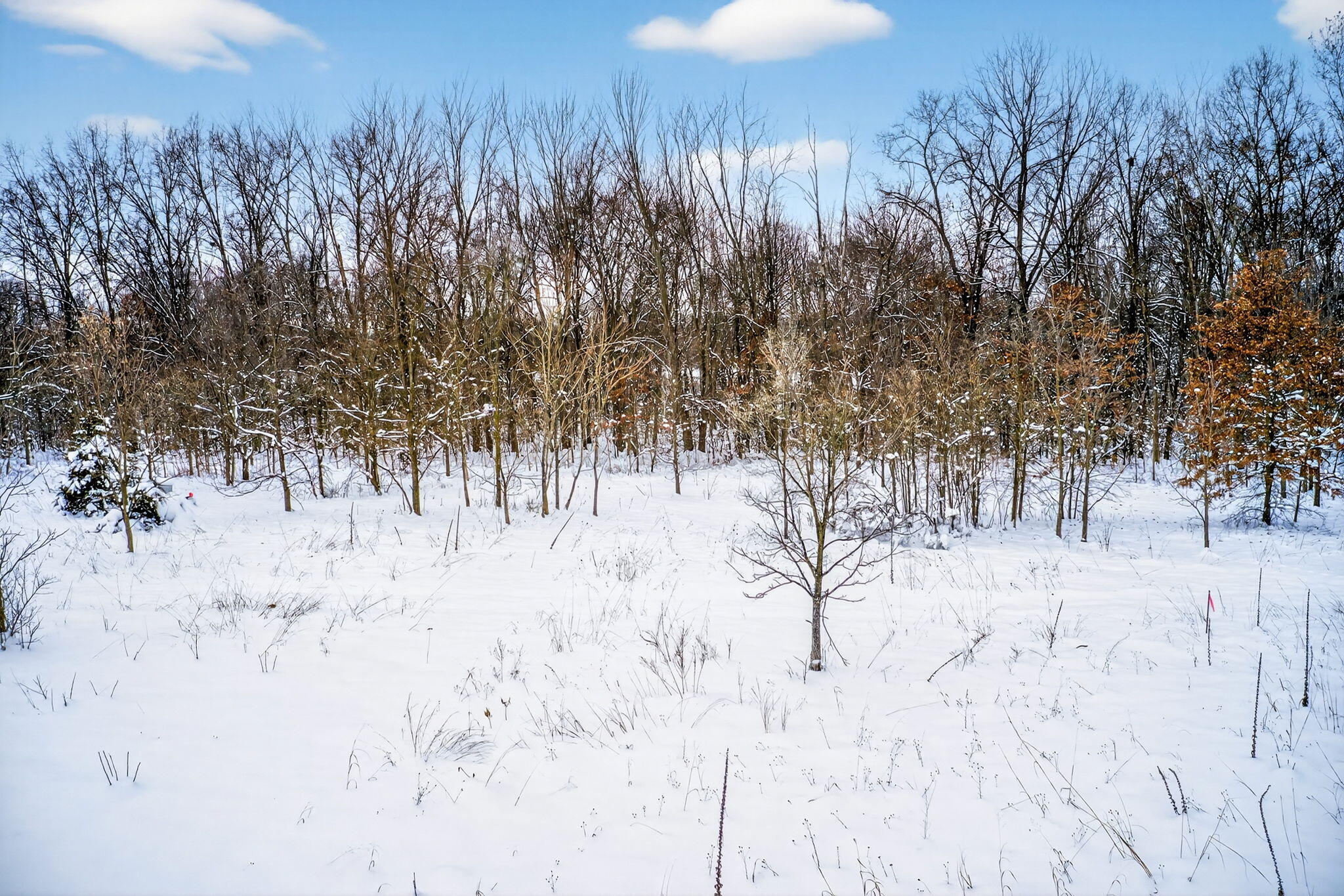 Lot 1-2 Garver Lake Road Edwardsburg, MI 49112 - Photo 18 of 33 Garver Lake Rd-32