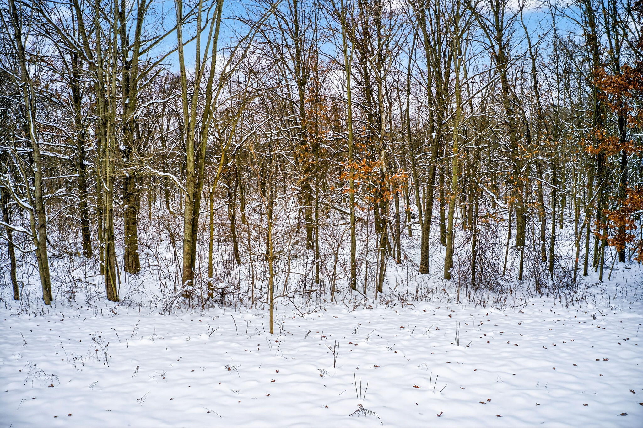Lot 1-2 Garver Lake Road Edwardsburg, MI 49112 - Photo 24 of 33 Garver Lake Rd-22