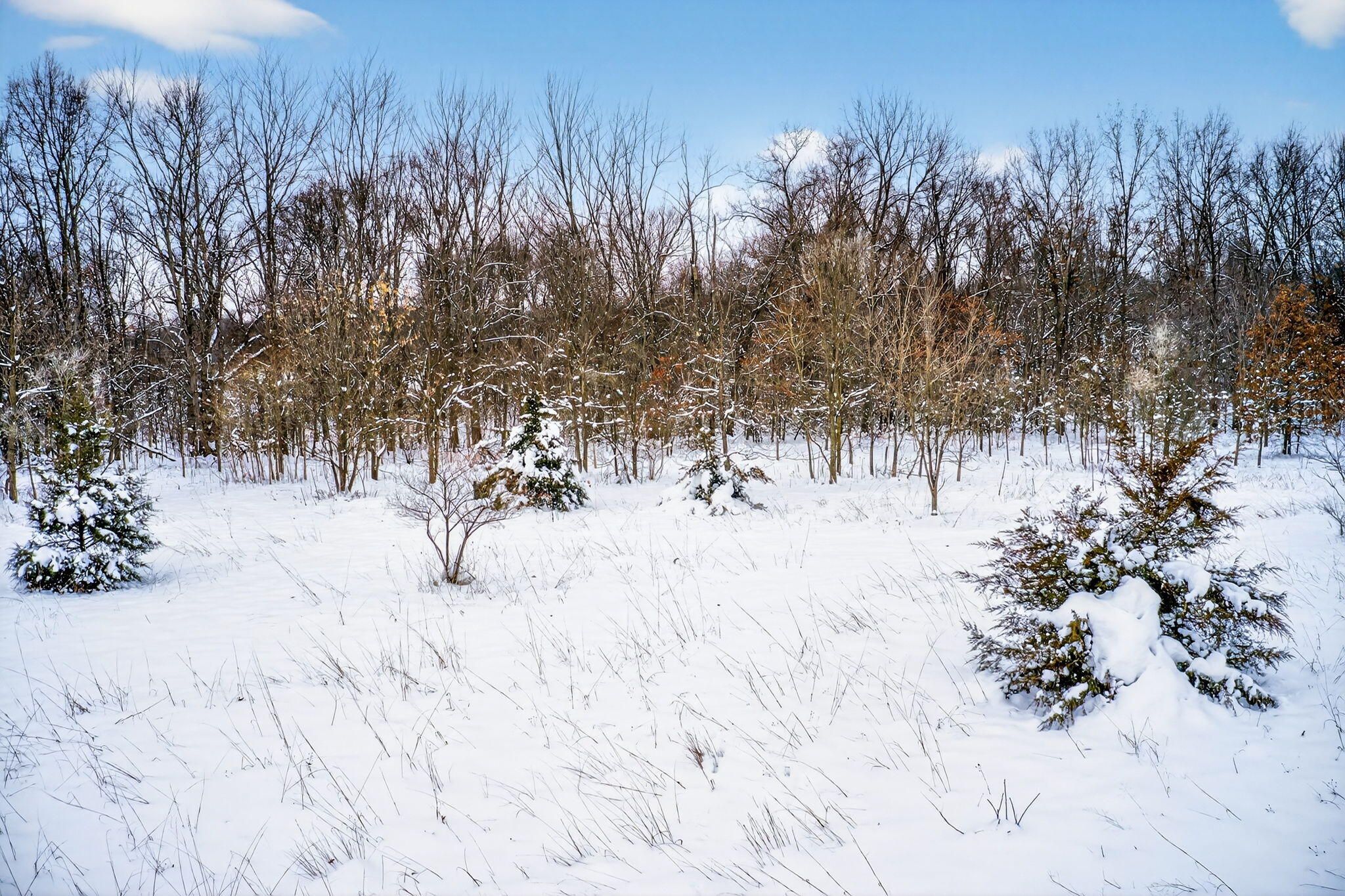 Lot 1-2 Garver Lake Road Edwardsburg, MI 49112 - Photo 28 of 33 Garver Lake Rd-9
