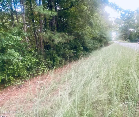 $27,500 | 0 Highway 43, Oak Vale, MS 39656