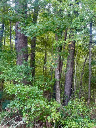 $27,500 | 0 Highway 43, Oak Vale, MS 39656