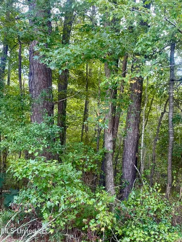 $29,500 | 0 Highway 43, Oak Vale, MS 39656