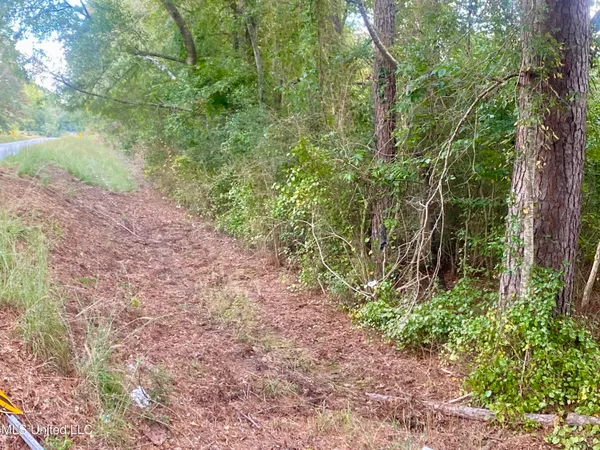 $27,500 | 0 Highway 43, Oak Vale, MS 39656
