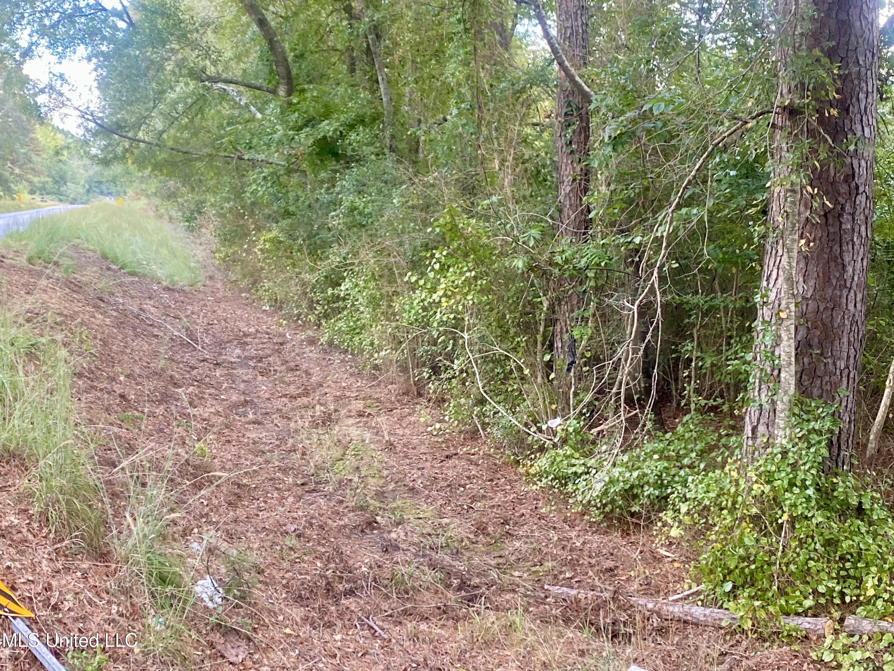 0 Highway 43 Oak Vale, MS 39656 - Photo 3 of 4 IMG_5925