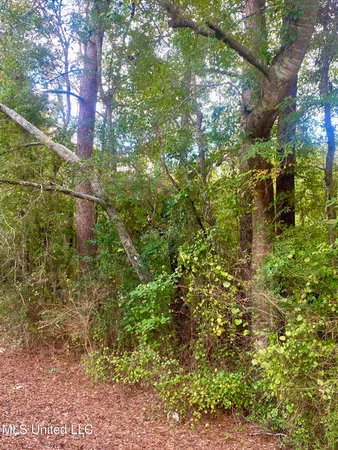 $27,500 | 0 Highway 43, Oak Vale, MS 39656