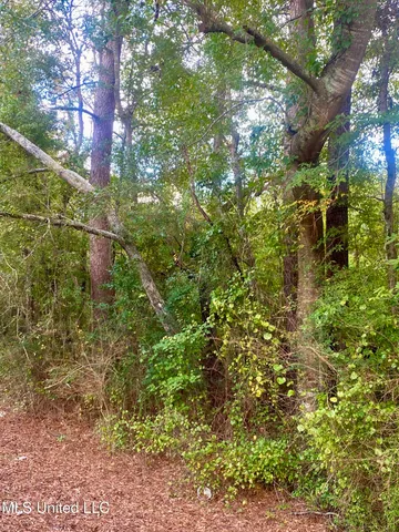 $29,500 | 0 Highway 43, Oak Vale, MS 39656