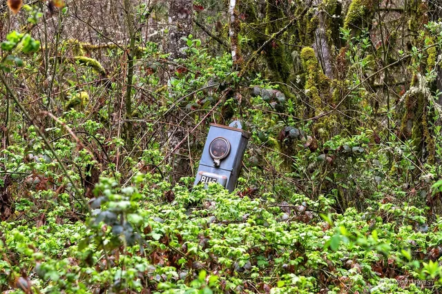 $349,000 | 67-xx West Snoqualmie Valley Road Northeast, Carnation, WA 98014