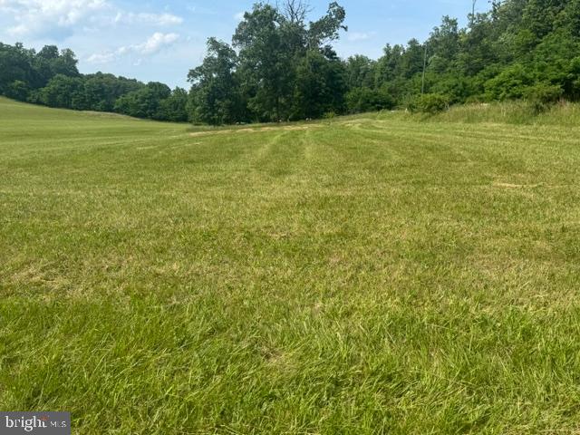 179 Rooney Road Hedgesville, WV 25427 - Photo 5 of 5